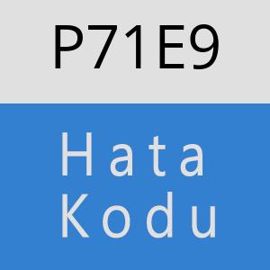 P71E9 hatasi