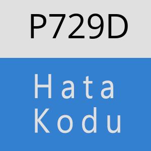 P729D hatasi