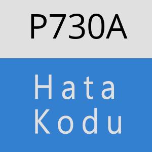 P730A hatasi