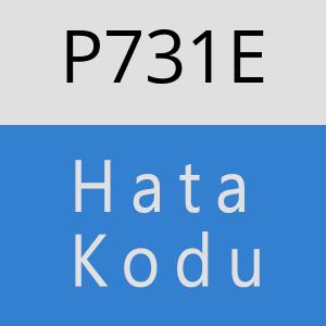 P731E hatasi