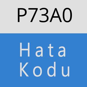 P73A0 hatasi