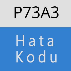 P73A3 hatasi