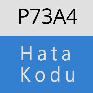 P73A4 hatasi