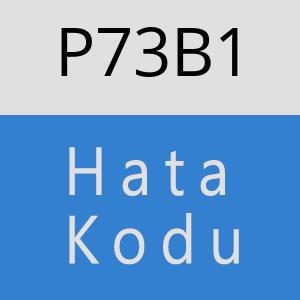 P73B1 hatasi