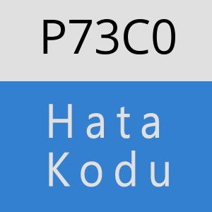 P73C0 hatasi