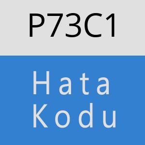 P73C1 hatasi