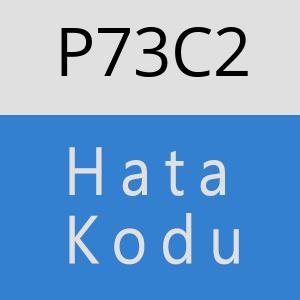 P73C2 hatasi