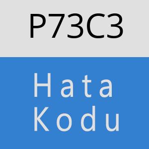 P73C3 hatasi