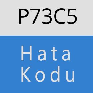 P73C5 hatasi