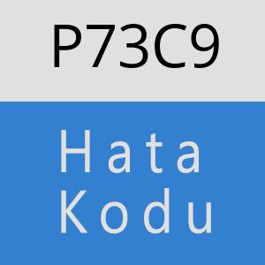 P73C9 hatasi