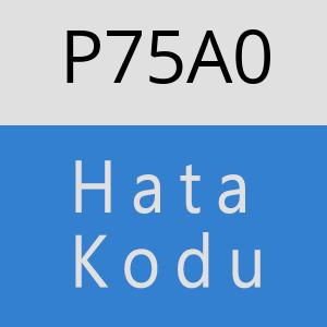 P75A0 hatasi