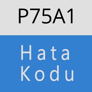 P75A1 hatasi