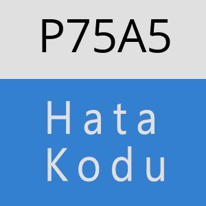 P75A5 hatasi