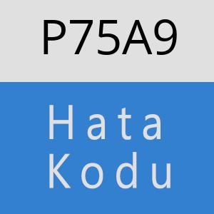 P75A9 hatasi