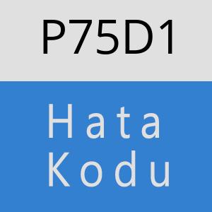 P75D1 hatasi