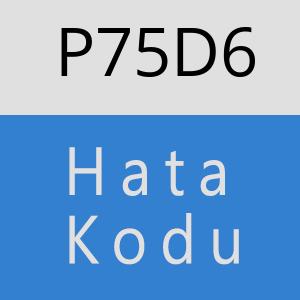 P75D6 hatasi