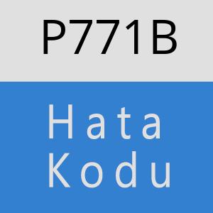 P771B hatasi