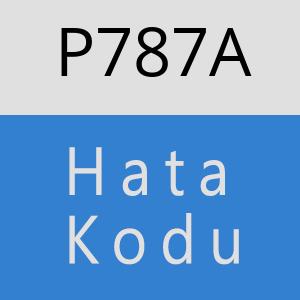 P787A hatasi