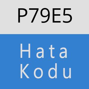 P79E5 hatasi