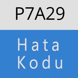 P7A29 hatasi