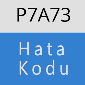 P7A73 hatasi