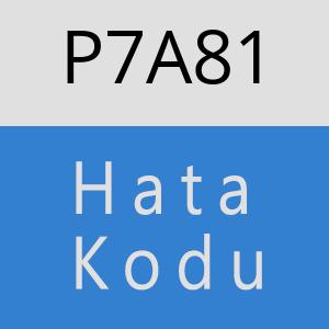 P7A81 hatasi