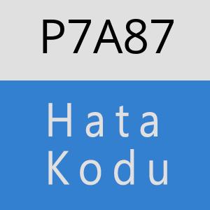 P7A87 hatasi