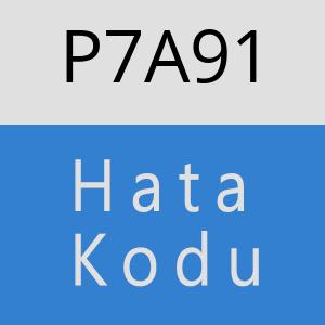 P7A91 hatasi