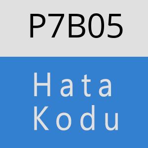 P7B05 hatasi