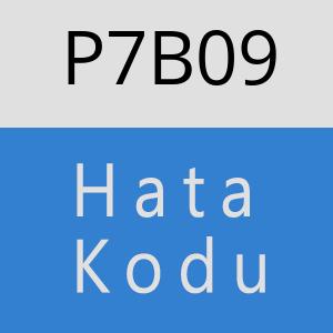 P7B09 hatasi