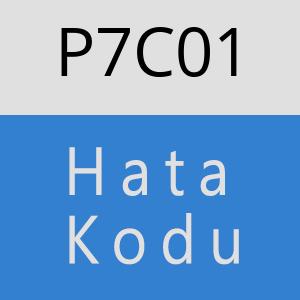 P7C01 hatasi