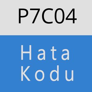 P7C04 hatasi