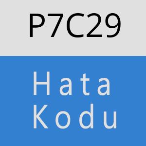 P7C29 hatasi