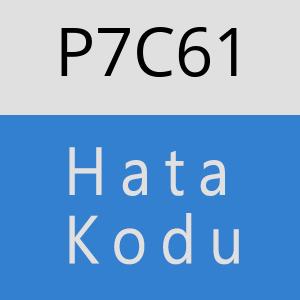 P7C61 hatasi