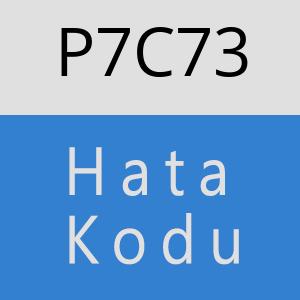 P7C73 hatasi