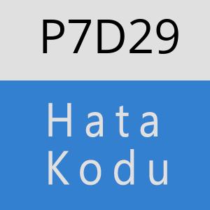 P7D29 hatasi