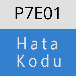 P7E01 hatasi