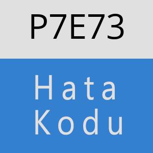 P7E73 hatasi