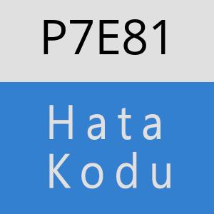 P7E81 hatasi