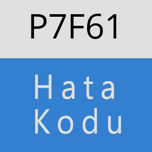 P7F61 hatasi