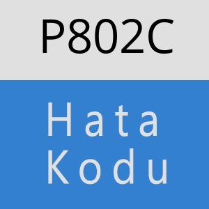 P802C hatasi