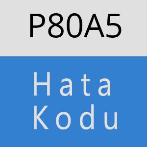 P80A5 hatasi