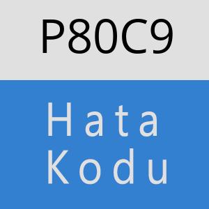 P80C9 hatasi