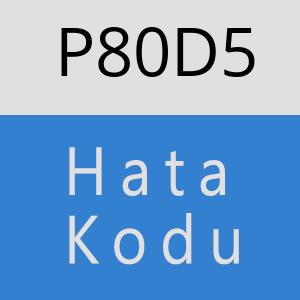 P80D5 hatasi