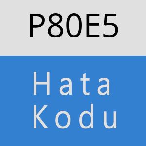 P80E5 hatasi