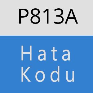 P813A hatasi