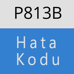 P813B hatasi