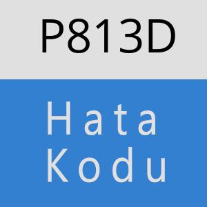 P813D hatasi