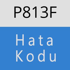 P813F hatasi