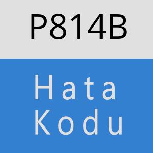 P814B hatasi